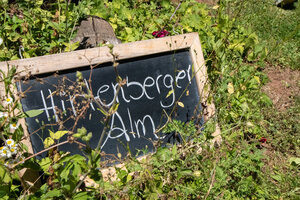 Asch_IMG_4678_klein Asch_IMG_4678_klein