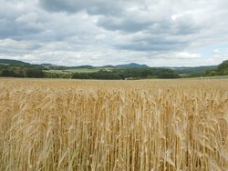 Rastplatz mit Aussicht Schaumberg u