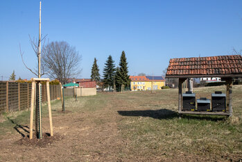 Obstwiese Haus Saargau