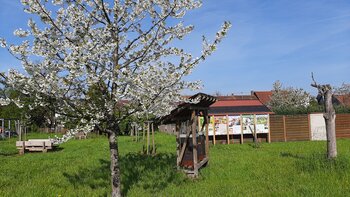 Obstwiese Haus Saargau