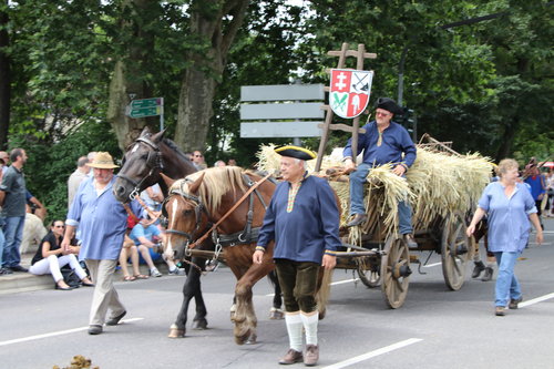 Umzug-Heuwagen