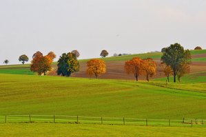 Land in der Stadt2