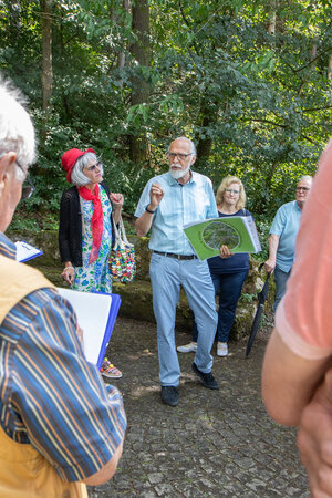 Bils_IMG_2650 Bils_IMG_2650