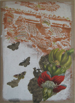 Bananeblüte_50x70 Bananeblüte_50x70