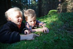 Naturpark Saar-Hunsrück_Pilze_Kinder 2016