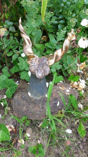 20160728_161031 20160728_161031